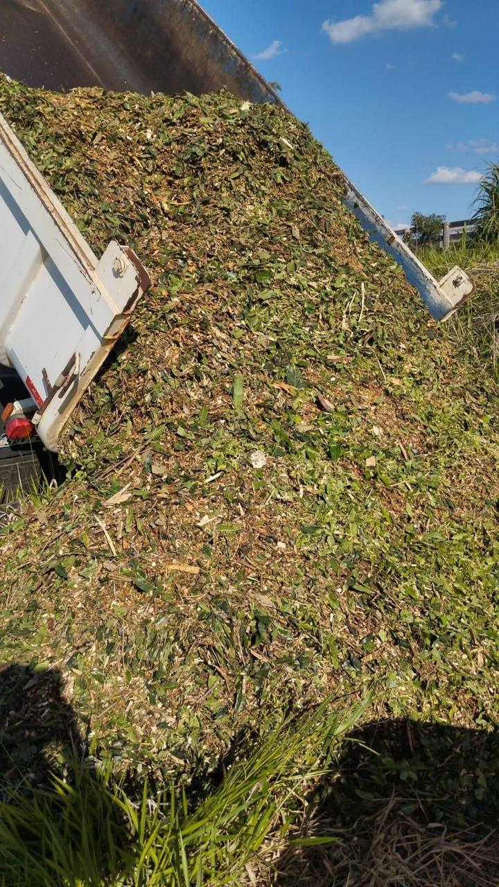 Trituração de galhos