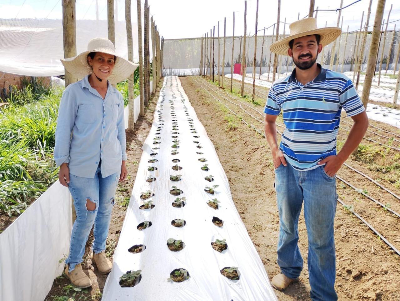 Agricultura familiar
