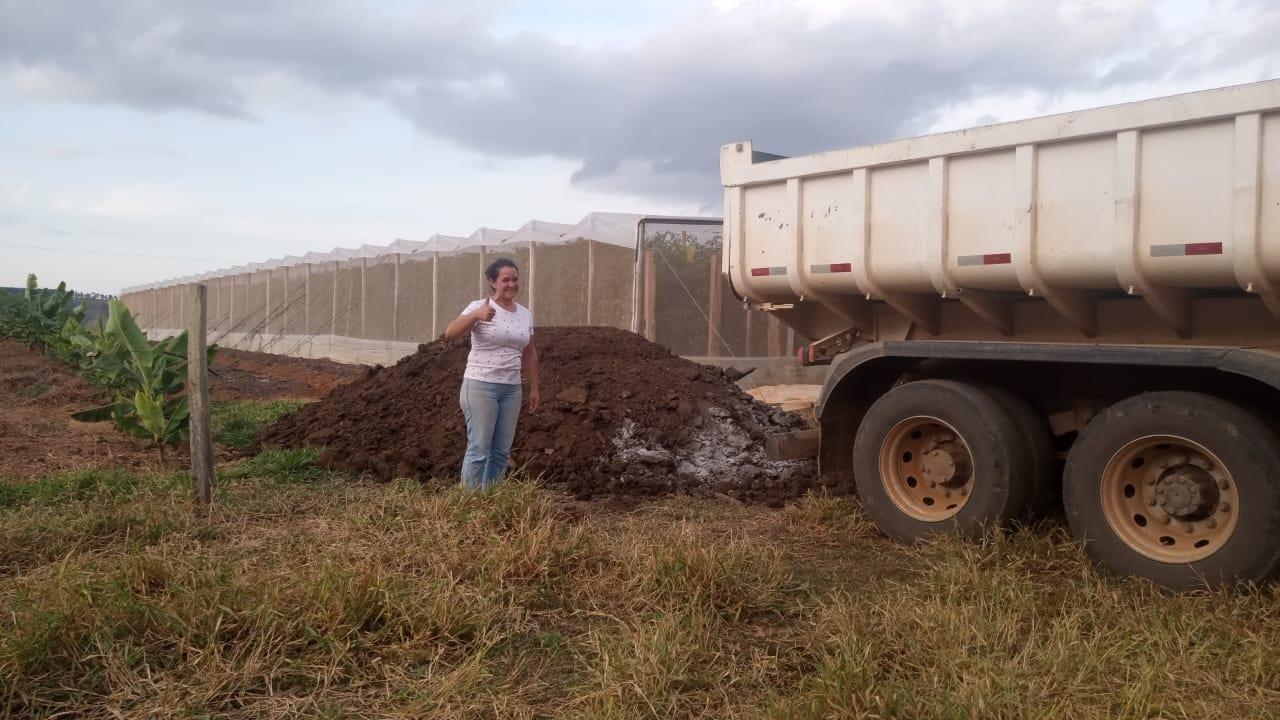 Esterco bovino para produtores