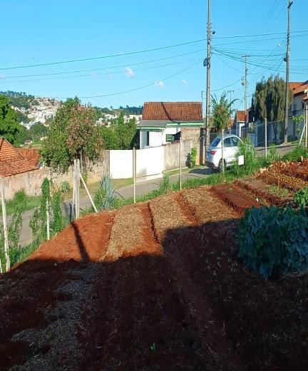 Horta comunitária